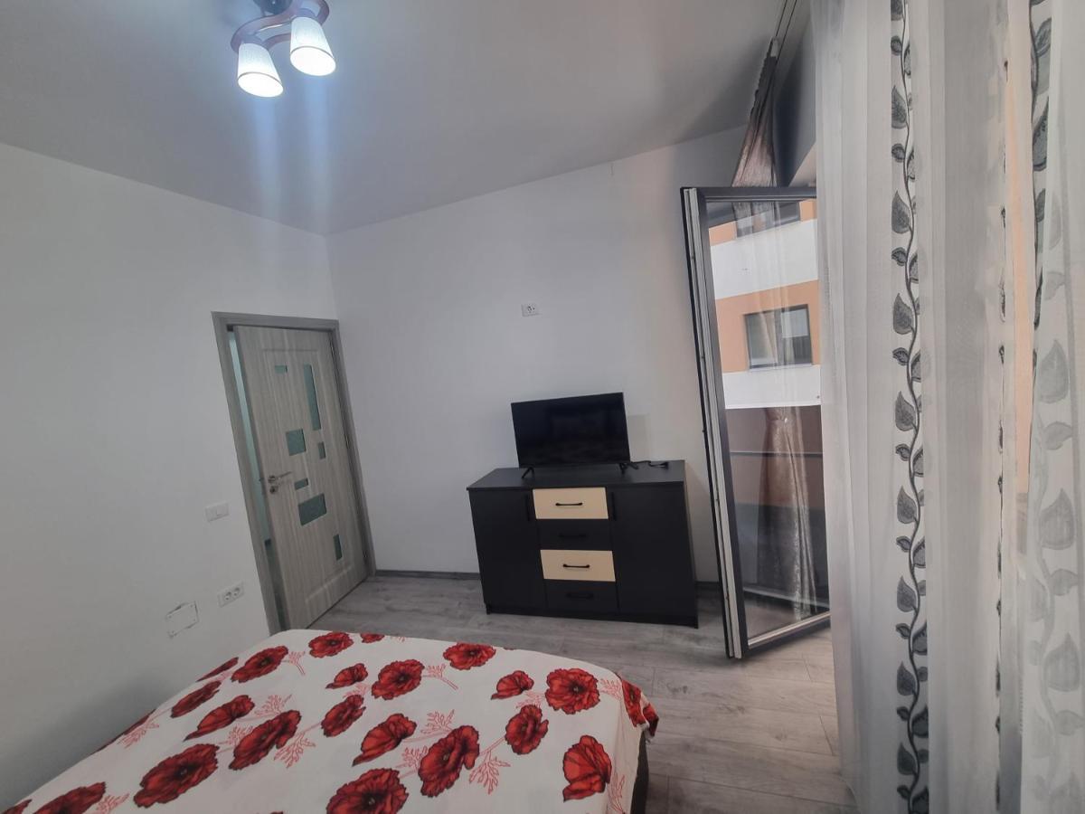 Apartament Mihaela Râmnicu Vâlcea Buitenkant foto
