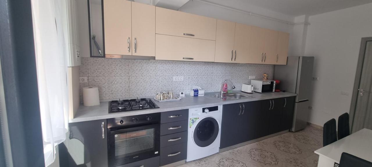 Apartament Mihaela Râmnicu Vâlcea Buitenkant foto